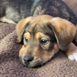 Meet your Posher, Ashlee